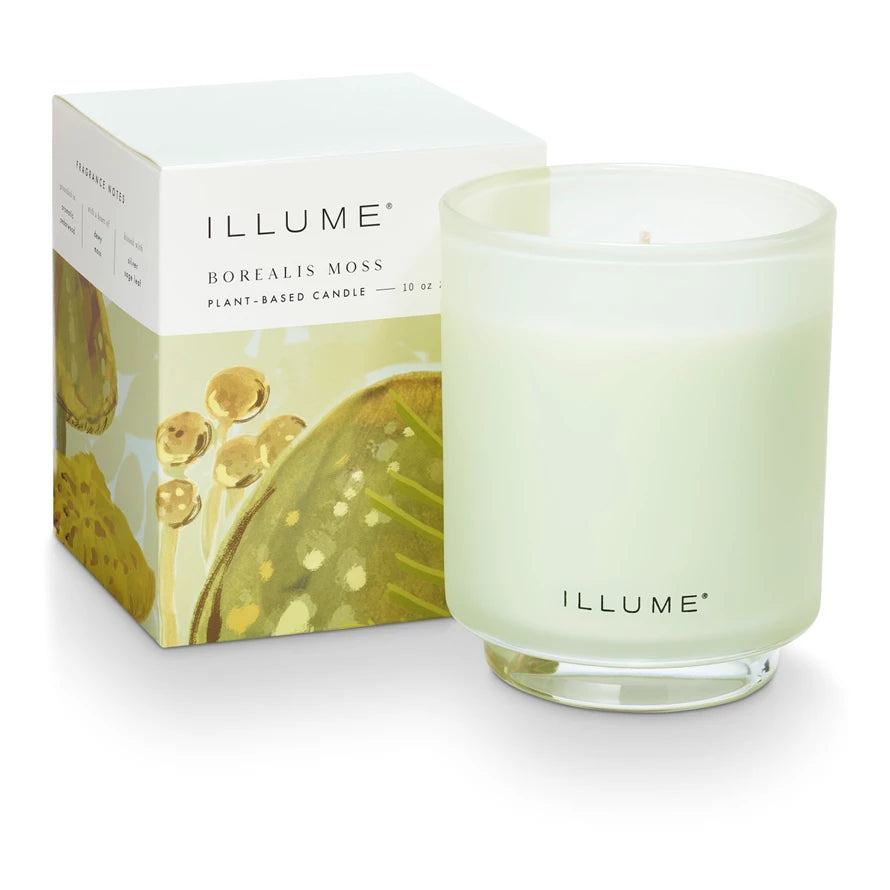 Illume Borealis Moss Candle