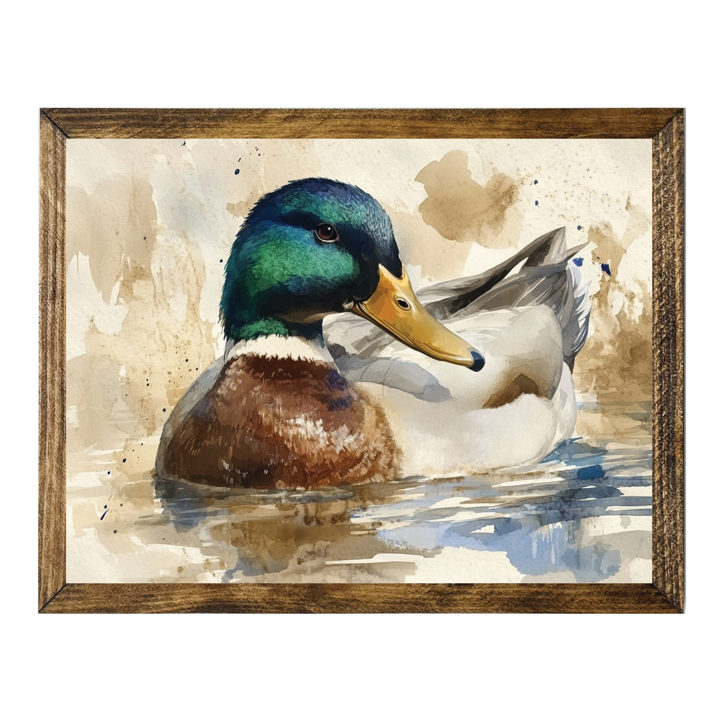 TIMBERLAND FRAME COLORFUL MALLARD DUCK SWIMMING WATERCOLOR