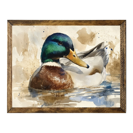TIMBERLAND FRAME COLORFUL MALLARD DUCK SWIMMING WATERCOLOR