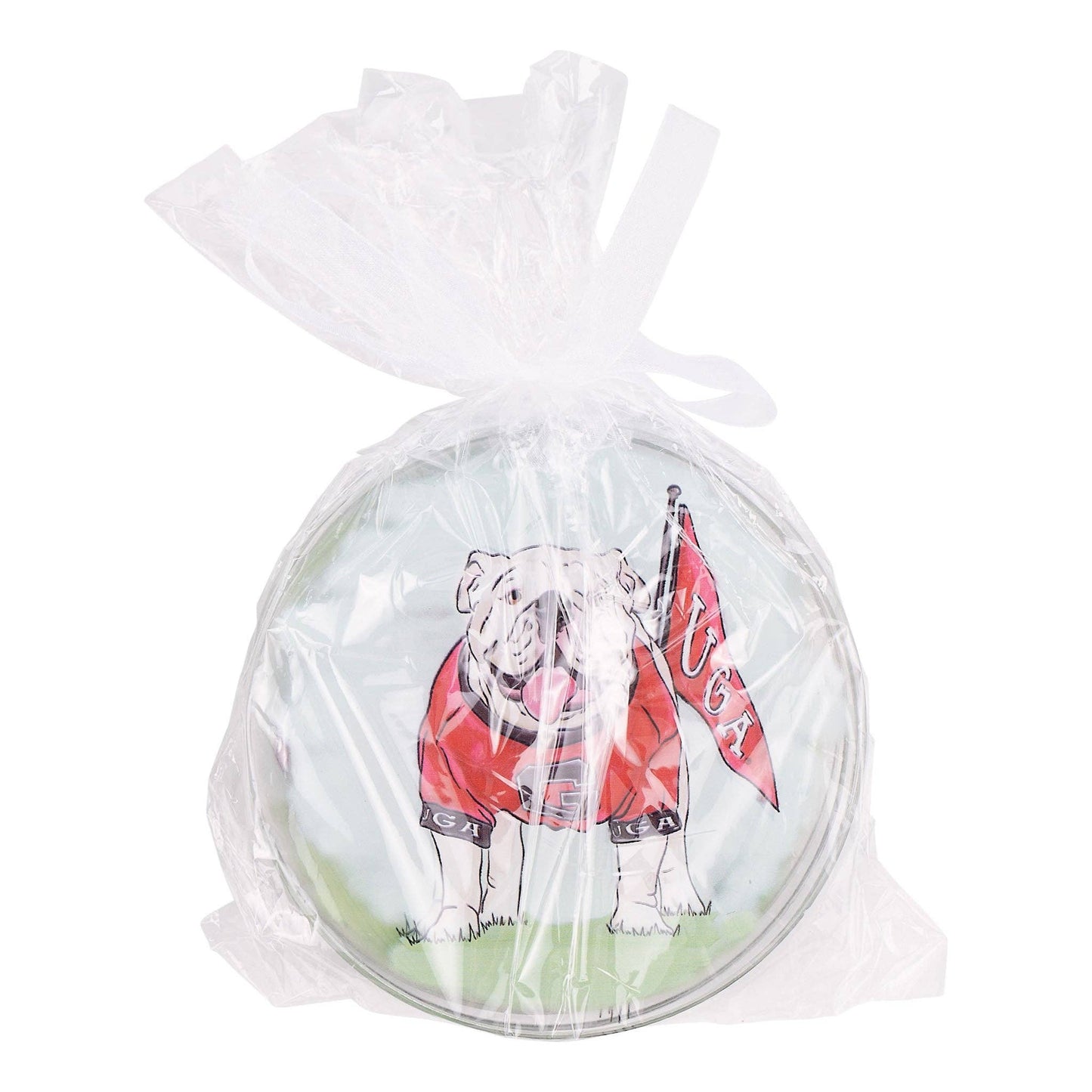 Georgia  Ornament